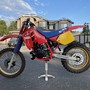 IMG 4946