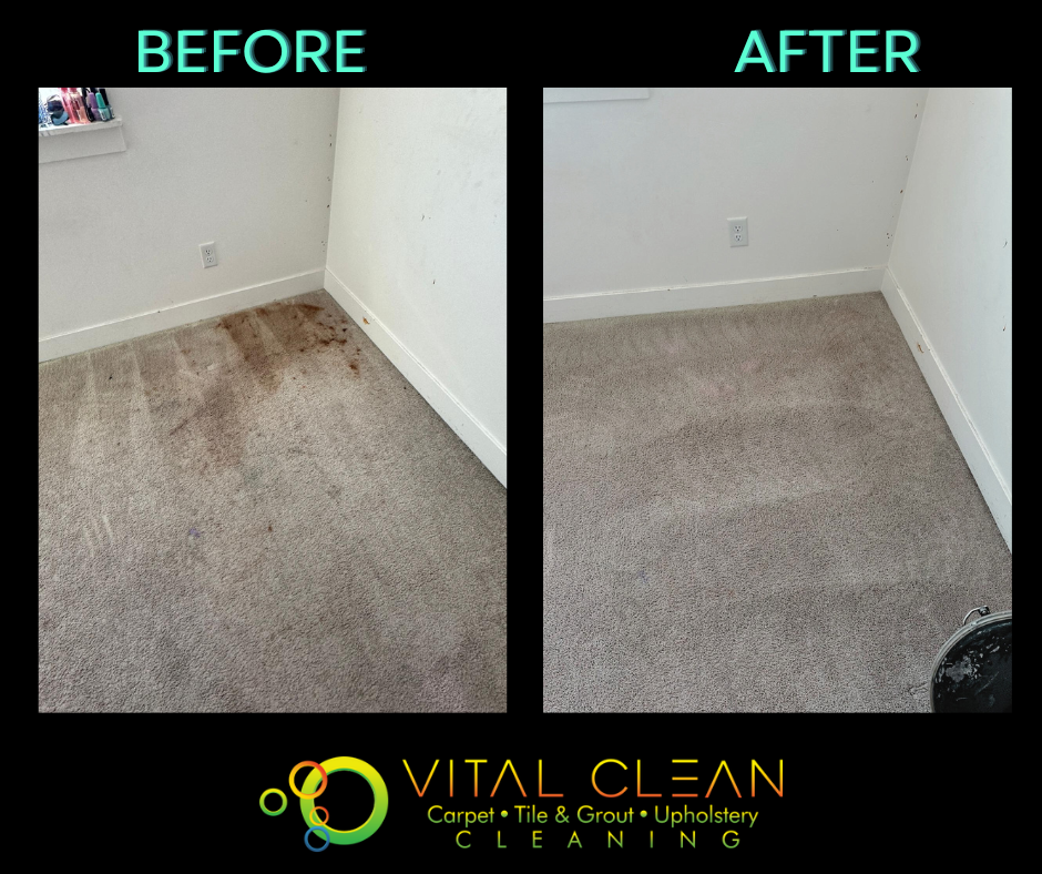 stain removal, makeup stain removal, stain removal before and after on carpets